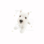 J'aime_les_patates_123