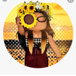 The amazing sunflowers