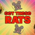 anti social rats