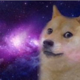 The Church of Doge