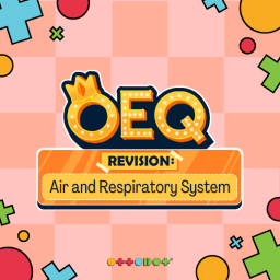 🌬️ OEQ Revision: Air and Respiratory System💨