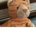Caleb’s cat likes group