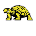 Trying Turtles (tps team)