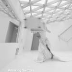 Amazing Swifties