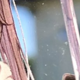 (≧д≦)