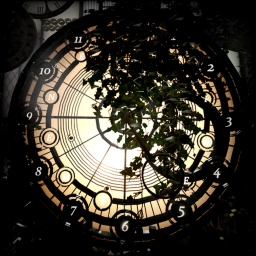 Showcase - TIME