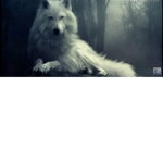Les team loup