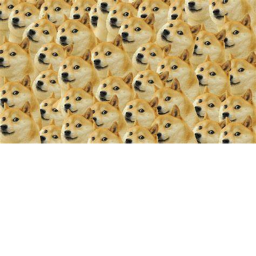 The Doge Obby