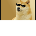 bo la ds