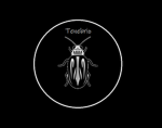 Tenebrio | 種子