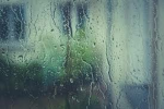 RAINBRO CREW