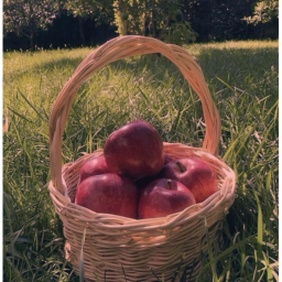 🍎