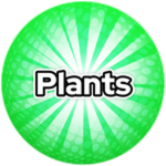 Plants!