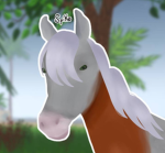Hi I’m IplaywildhorseIsland6