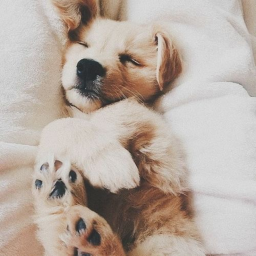 ♡