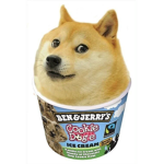 DOGE GANG CLAN