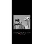 قروب N M