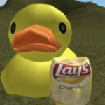 yellow duckling