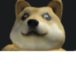 BUFF DOGE SQUAD.