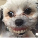 Hi my name is iwantnoodles