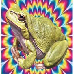 frog