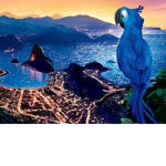Rio7766 fan club