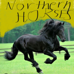 Northern horses
