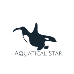 Aquatical Star, Version 4 (Revamp)