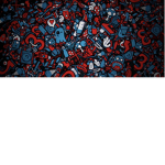 Nothing to see here029145