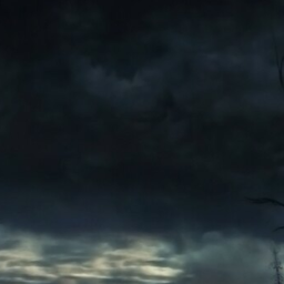 🦇