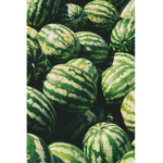 ~Die Wassermelone gruppe~