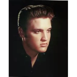 elvis presley icon