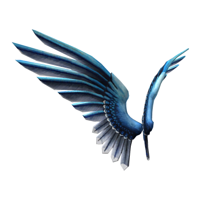 Blue Jay Wings