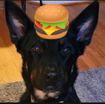 Doge Burger Army