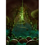 The palace of bone