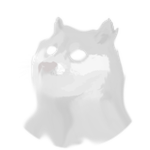 Spirit Doge