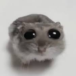田徑