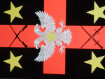 THE ANTI CRINGE FEDERATION