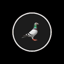 angers icon