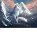 Wolf Friends place