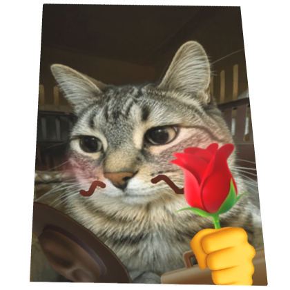 (ANIMATED) Romantic Cat Cape