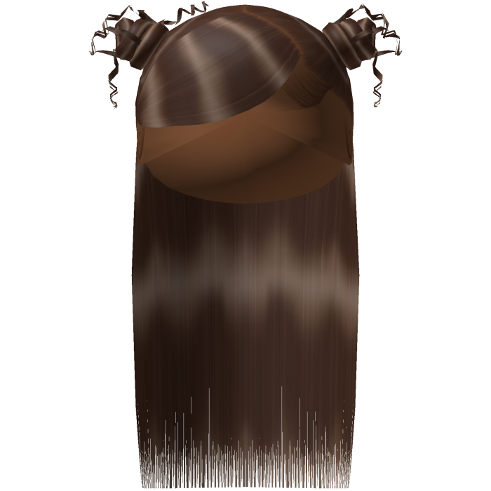 Swoop with buns half down hair - Brown