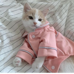 lving annie