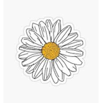 | The Daisy Cafe |