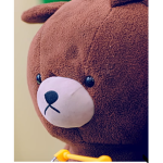 brother bears