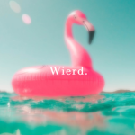 Wierd.