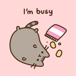 pusheen crew ;0