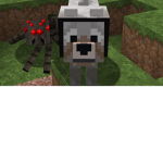 The Brother Hood of Shadow Assassin's