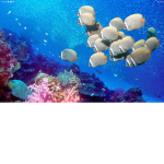 Ocean.Group