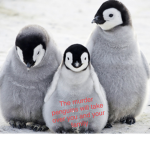 Penguin squad/murder society